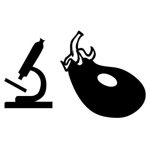 🔬🍆 Emoji Domain black and white Symbola rendering